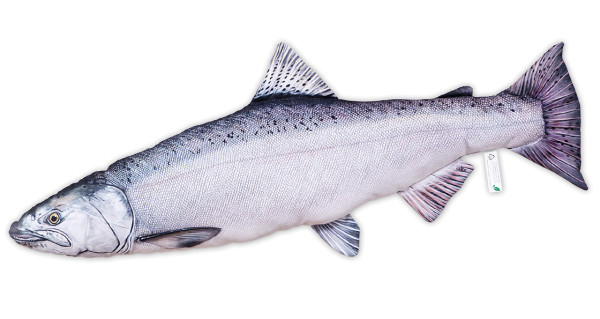 Fischkissen Kuscheltier Chinook Königslachs 90cm