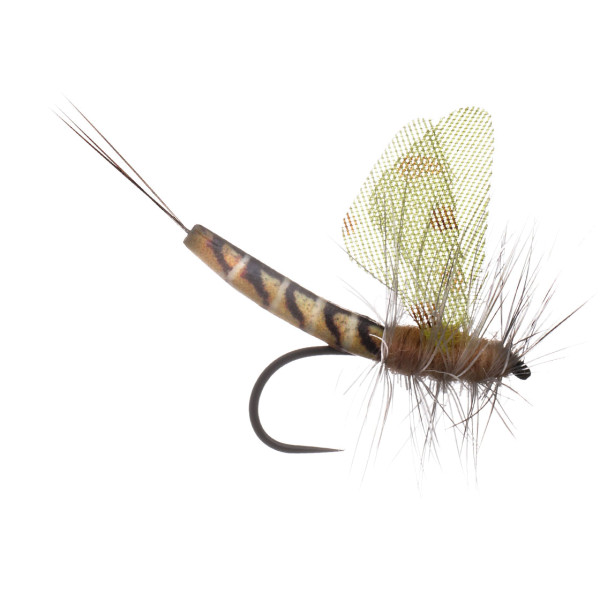 MFC Lucent Wing True Hex Mayfly Trockenfliege Maifliege Barbless #10