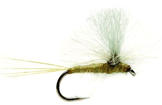 Top 10 Dry Flies for Trout | adh-fishing