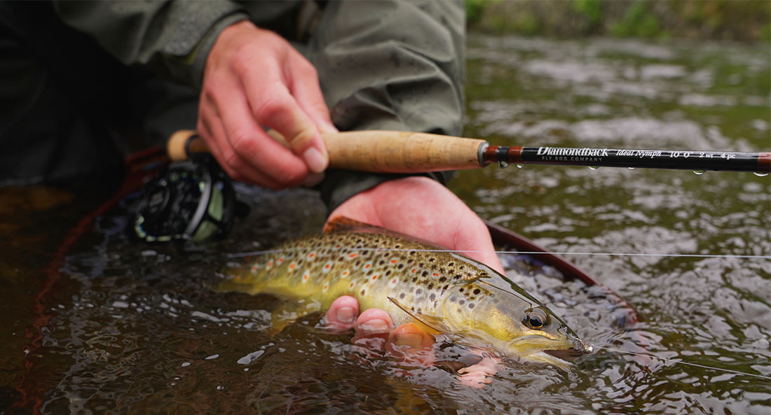 Diamondback Ideal Nymph Trout