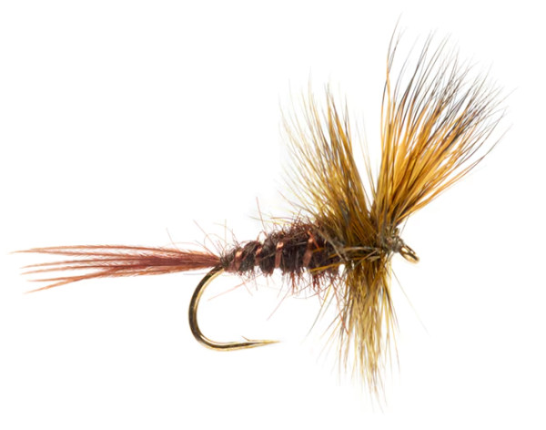 Fulling Mill Tactical Dryfly Jackie's Dark Olive Mayfly Dun #10 Maifliege