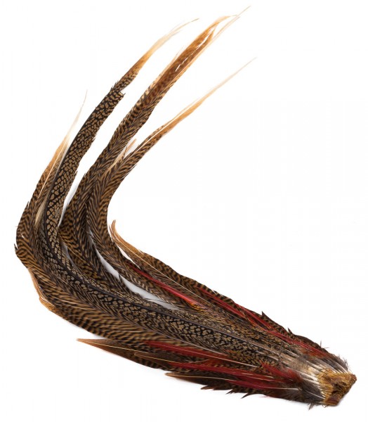 Veniard Golden Pheasant Tail - Goldfasan Schwanzfeder Tail