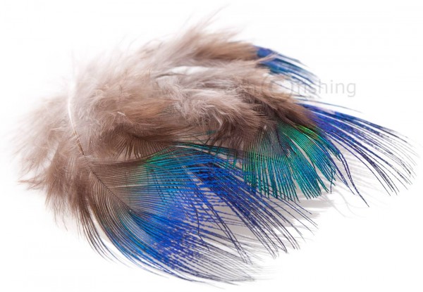 Veniard Pfau Körperfedern Peacock Blue Neck