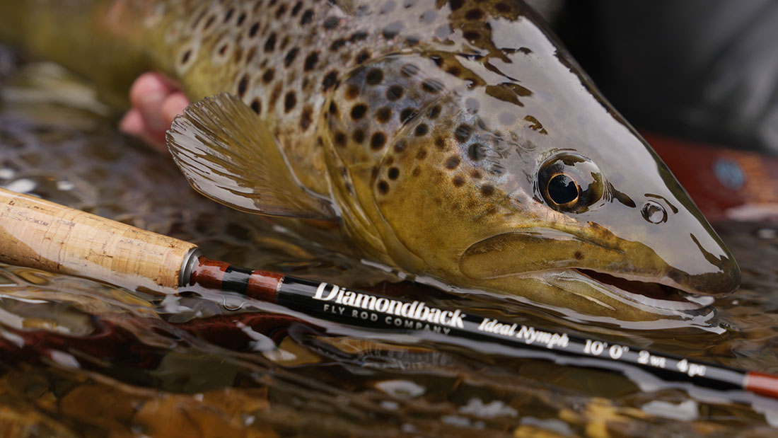 Diamondback Ideal Nymph Big Trout