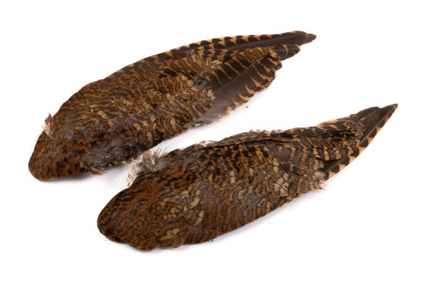 Veniard Woodcock Wings