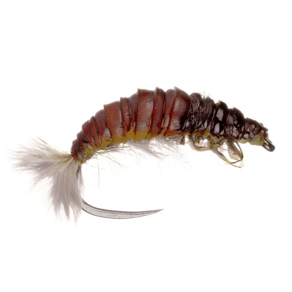 Fulling Mill Nymphe - Oliver Edwards Hydropsyche Larva