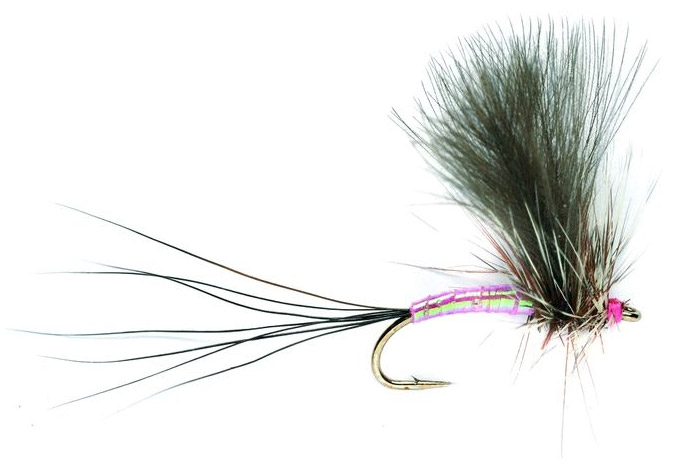 Lebensecht Lachs Popper -K?der Popper Dry Fly Fishing Fliegen