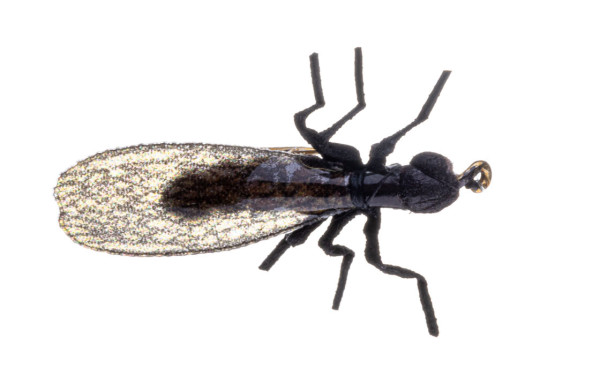 Vania Realistic Mini Stonefly Black Trockenfliege