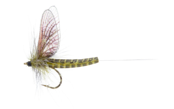 Vania Realistic Mayfly Green Drake Western CDC Trockenfliege