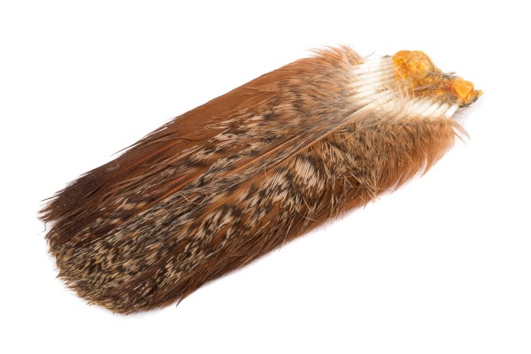 Veniard English Partridge Complete Tail - Rebhuhnschwanz