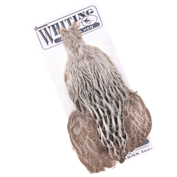 Whiting Brahma Hen Cape Cream Badger