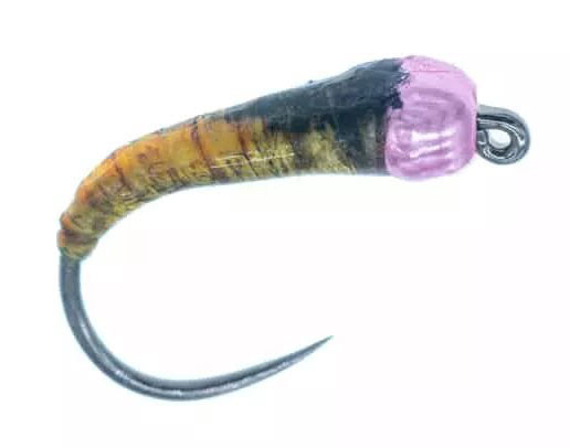 Superflies Tungsten Nymph Glue Larva Pink Bead