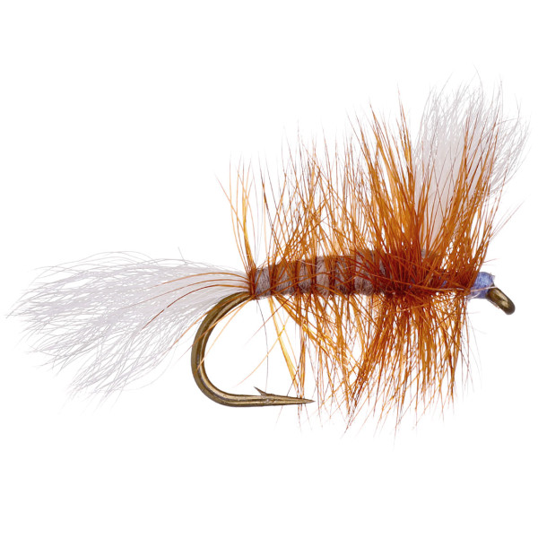 Vision Big Trout & Lachsfliege Pompero Trockenfliege